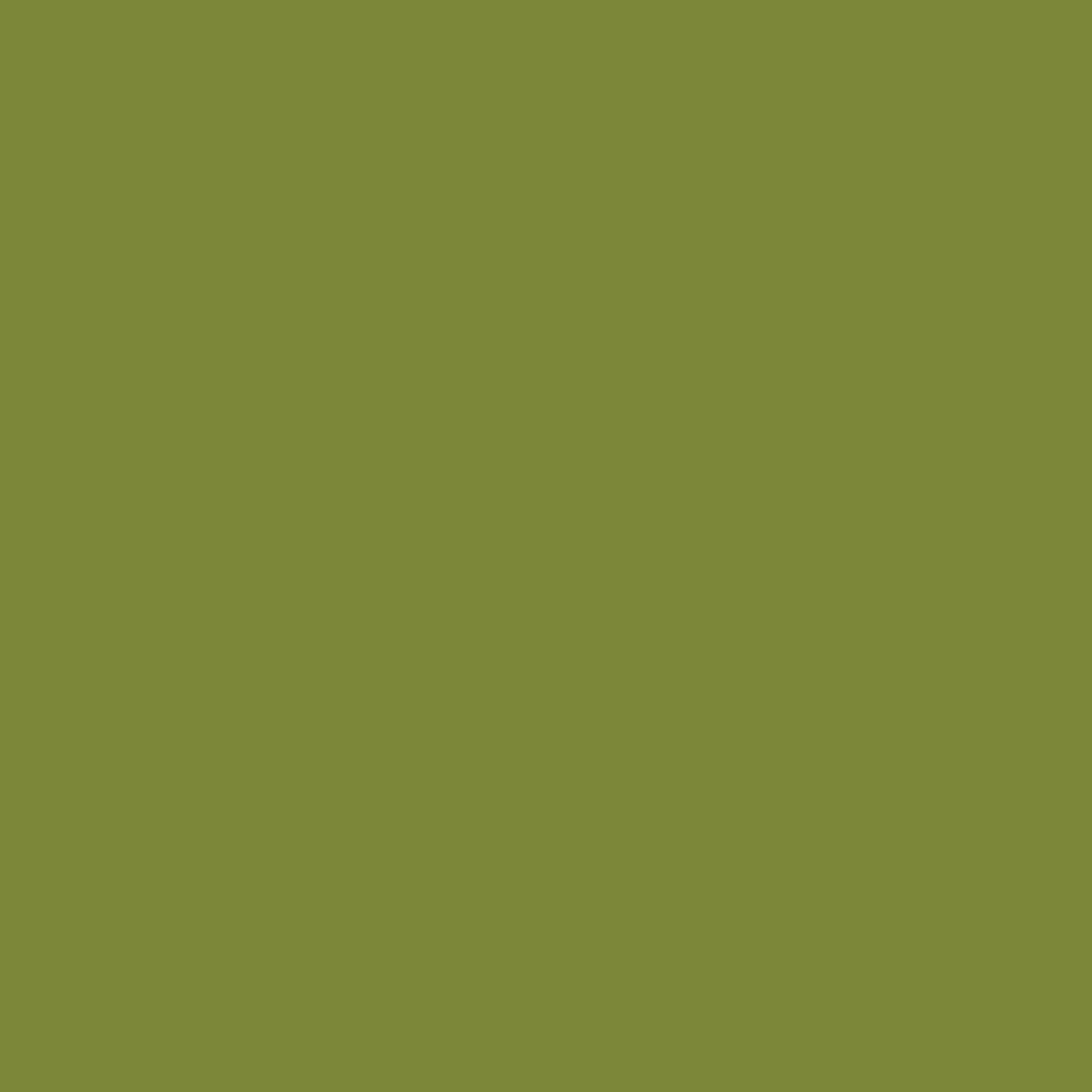 Oliva bamboo modal hijab — bright olive khaki